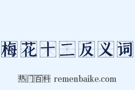 梅花十二反义词是什么意思的图片